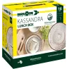 Brunner - Set di stoviglie Lunch Box Kassandra 16 pz.