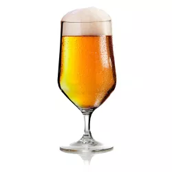Brunner - Set Bicchieri Birra Tulip 2 pz.