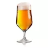 Brunner - Set Bicchieri Birra Tulip 2 pz.