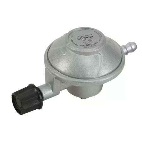 Regolatore Gas Reg