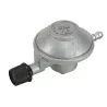 Regolatore Gas Reg