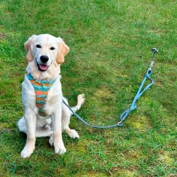 Pet Peg 2.0 picchetto a vite Peggy Peg