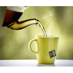 Tazzone ABS Spectrum