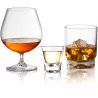 Set Bicchieri Kaptim Whisky 2 pz.