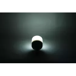 Lampada LED Globe